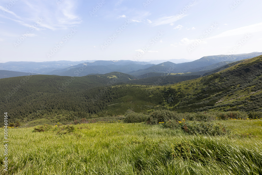 Naklejka premium Mountain landscape in Ukrainian Carpathians in summer.