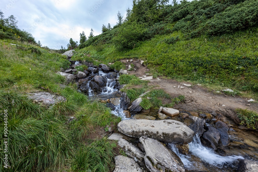 Mountain stream on a summer day in the Ukrainian Carpathians Mountain stream on a summer day in the Ukrainian Carpathians