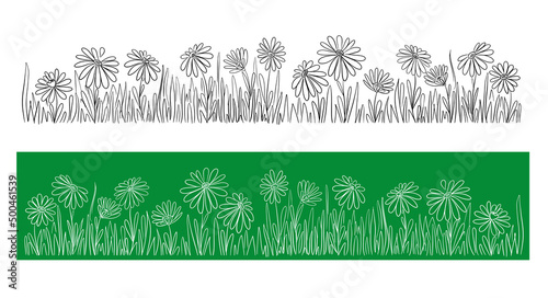 Wild chamomile flowers on the field hand drawn.flowers on white background botanical hand drawn daisy sketch vector doodle illustration for design package tea, organic cosmetic, natural medicine