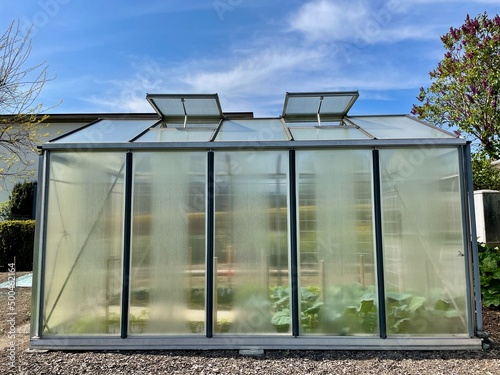 Fototapeta Naklejka Na Ścianę i Meble -  Exterior of glass house. Growing your own food. Fresh organic vegetables in greenhouse.