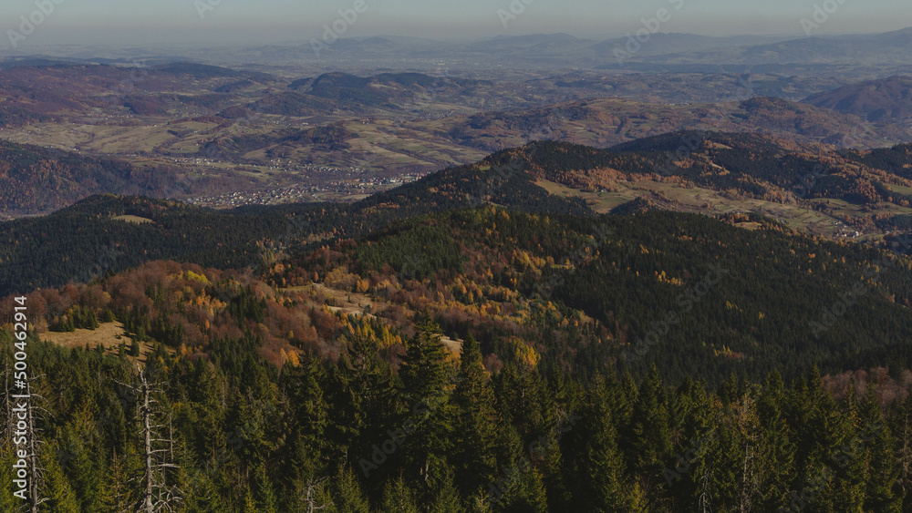 Autumn colors in mountain forests - Gorce Mountains	