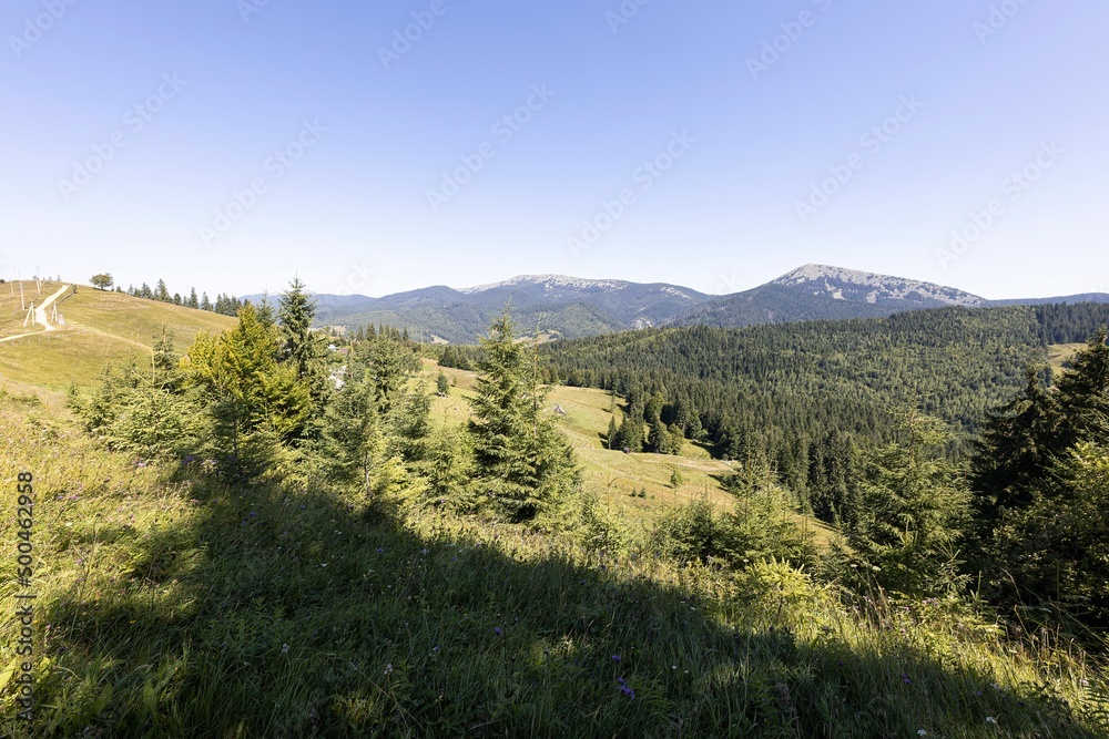 Mountain landscape in Ukrainian Carpathians in summer.