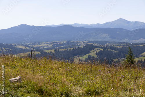 Mountain landscape in Ukrainian Carpathians in summer.