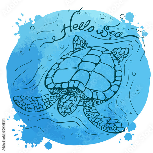 Sea turtle on blue watercolor background. Lettering Hello summer. Vector illustration. Perfect for invitation, greeting card, postcard, fashion print, banner, poster for textile, fashion design.