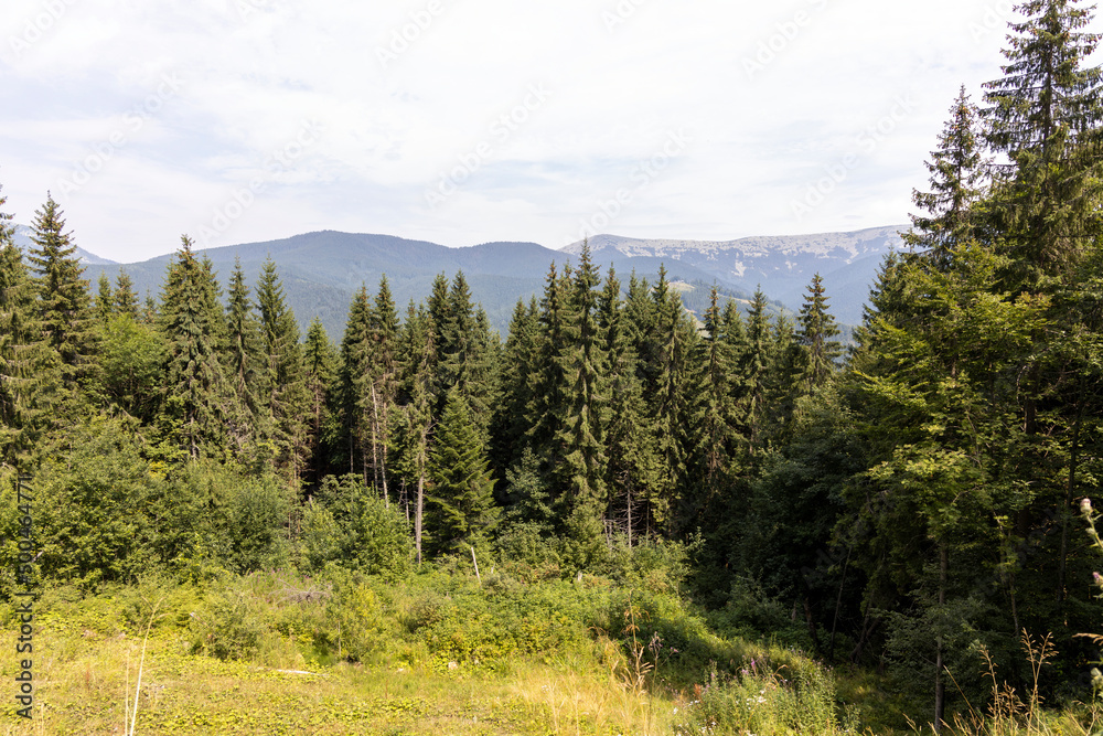 Panorama of mountains in the Ukrainian Carpathians on a summer day. Panorama of mountains in the Ukrainian Carpathians on a summer day.
