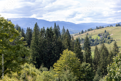 Panorama of mountains in the Ukrainian Carpathians on a summer day.