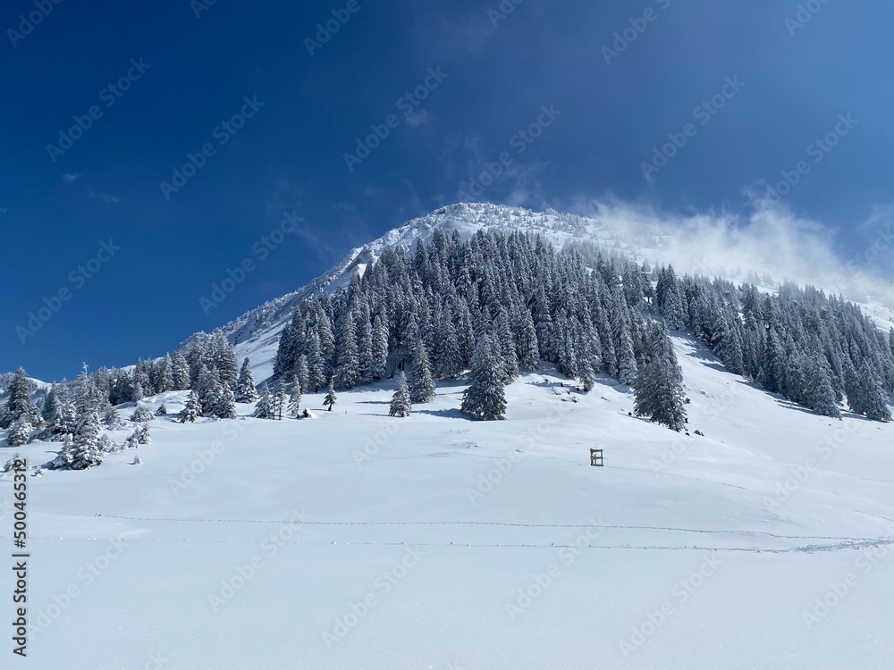 Fototapeta premium Fairytale icy winter atmosphere and snow-covered coniferous trees on mountain Schindlenberg in the Alpstein massif, Nesslau - Obertoggenburg region, Switzerland (Schweiz)
