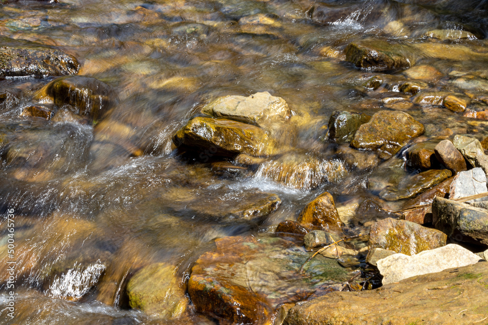 Mountain stream on a summer day in the Ukrainian Carpathians