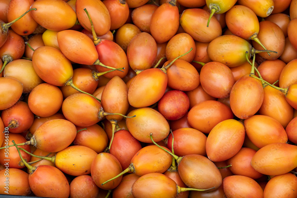 Fresh tree tomato - Solanum betaceum Fresh