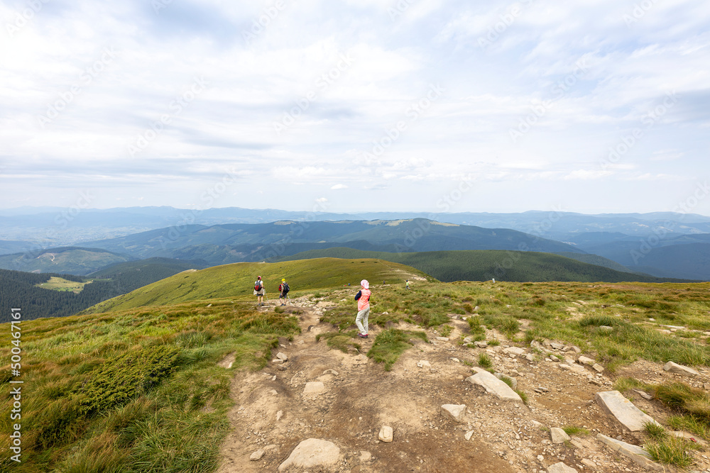 Mountain landscape in Ukrainian Carpathians in summer.