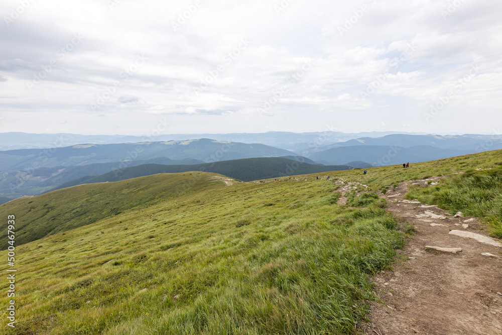 Fototapeta premium Mountain landscape in Ukrainian Carpathians in summer.