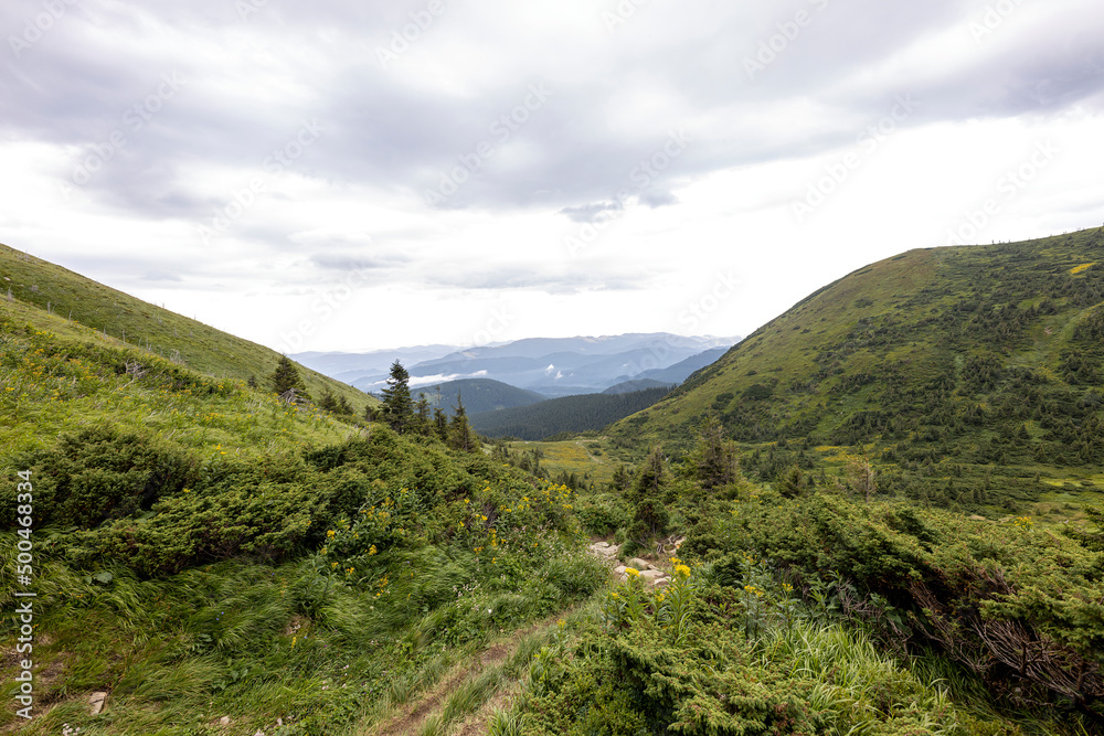 Fototapeta premium Panorama of mountains in the Ukrainian Carpathians on a summer day.