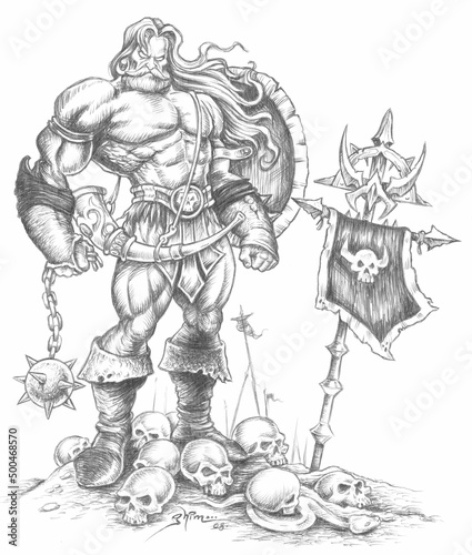 viking warrior with shield and skulls