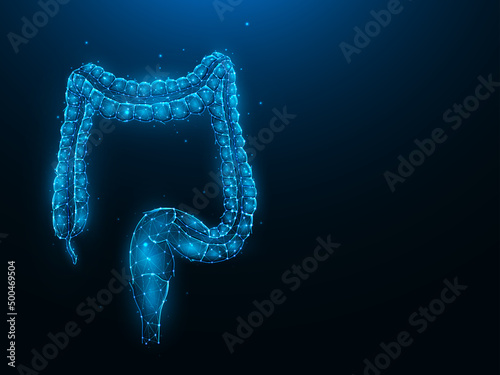 Abstraction polygonal vector illustration of the colon or large intestine on a dark blue background. Digestive system, internal organ low poly design. Medical banner, template or background.