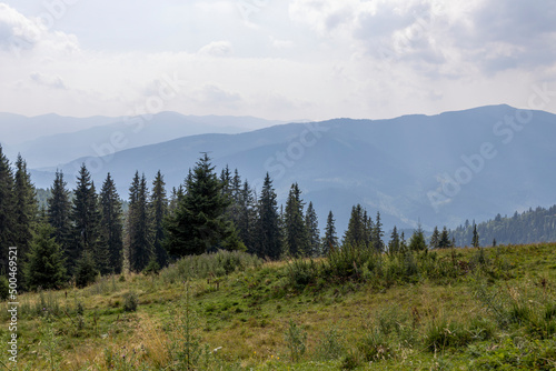 Panorama of mountains in the Ukrainian Carpathians on a summer day. © Sergey