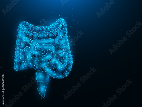 Abstraction polygonal vector illustration of the intestines on a dark blue background. Digestive system, internal organ low poly design. Medical banner, template or background.