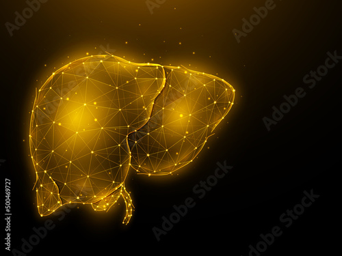 Abstract polygonal vector illustration of a human liver on a dark background. Digestive gland, internal low poly design. Medical banner, template or background.