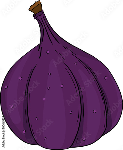 Vector set of colorful figs. Fruit product emblem for juice or jam label, packaging sticker, grocery shop tag, farm store. Fresh cartoon fig isolated on white background. 