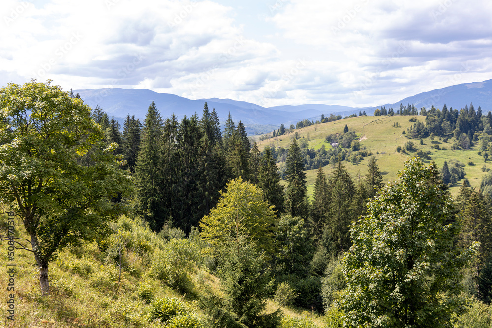 Panorama of mountains in the Ukrainian Carpathians on a summer day. Panorama of mountains in the Ukrainian Carpathians on a summer day.