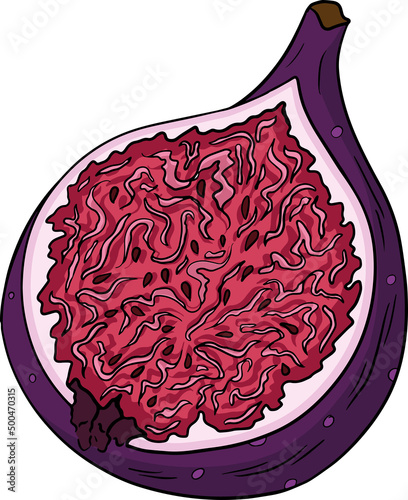 Vector set of colorful figs. Fruit product emblem for juice or jam label, packaging sticker, grocery shop tag, farm store. Fresh cartoon fig isolated on white background. 