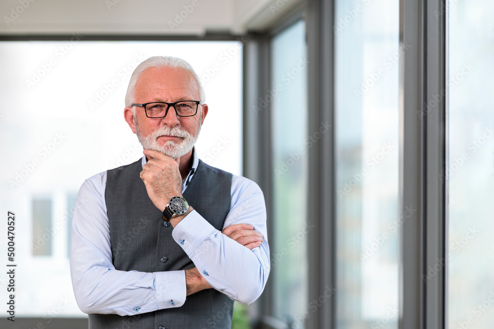 Portrait of serious senior executive manager Portrait of serious senior executive manager
