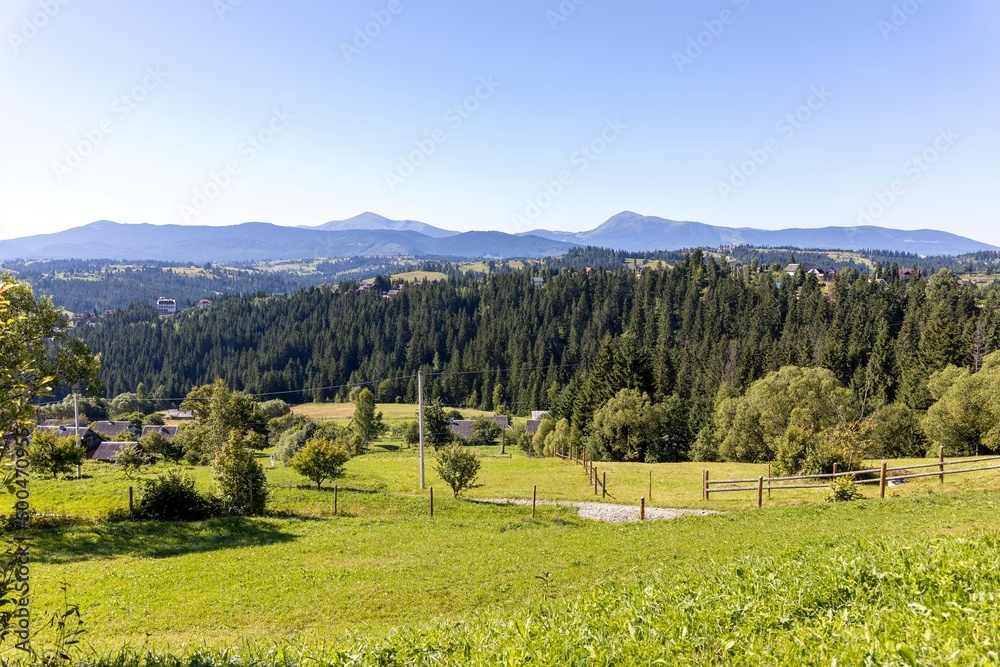 Naklejka premium Mountain landscape in Ukrainian Carpathians in summer.