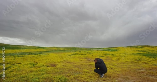 Man takes photos of wildflwoers swaying in the wind during a superbloom in Carrizo Plain National Monument, California photo