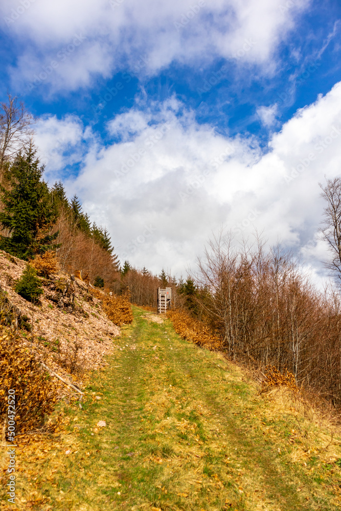Fototapeta premium Frühlingswanderung durch den Thüringer Wald bei Floh-Seligenthal - Thüringen - Deutschland