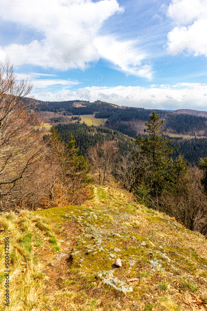 Frühlingswanderung durch den Thüringer Wald bei Floh-Seligenthal - Thüringen - Deutschland