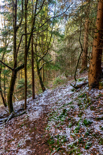 Frühlingswanderung durch den Thüringer Wald bei Floh-Seligenthal - Thüringen - Deutschland