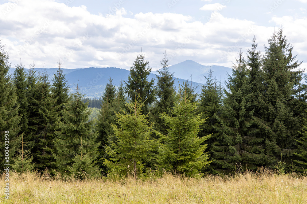 Panorama of mountains in the Ukrainian Carpathians on a summer day. Panorama of mountains in the Ukrainian Carpathians on a summer day.