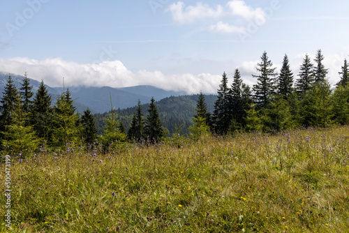 Panorama of mountains in the Ukrainian Carpathians on a summer day.