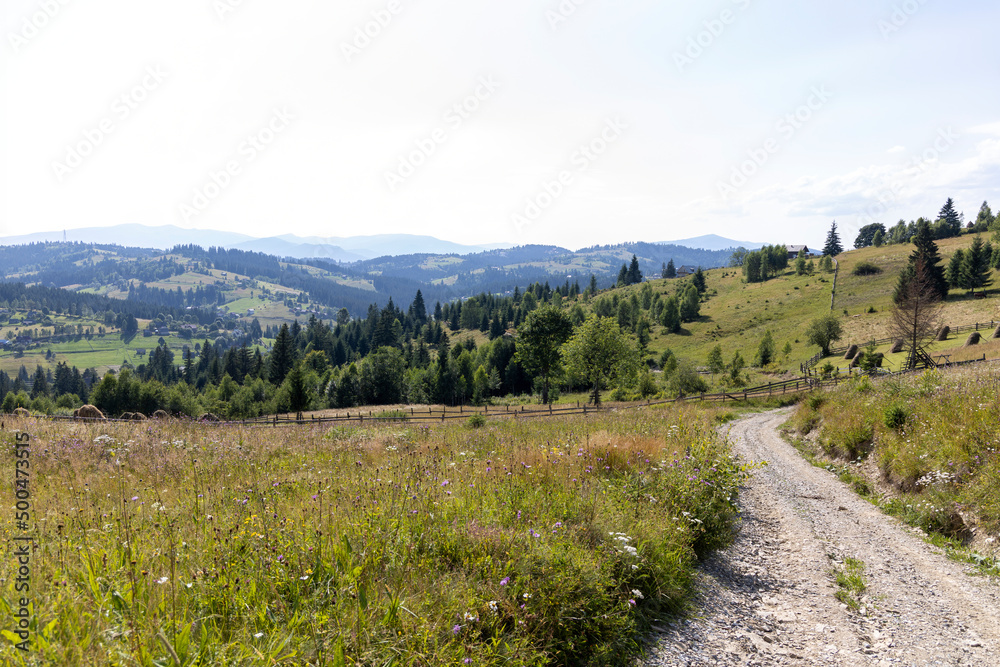 Fototapeta premium Mountain landscape in Ukrainian Carpathians in summer.