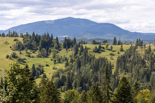 Panorama of mountains in the Ukrainian Carpathians on a summer day.
