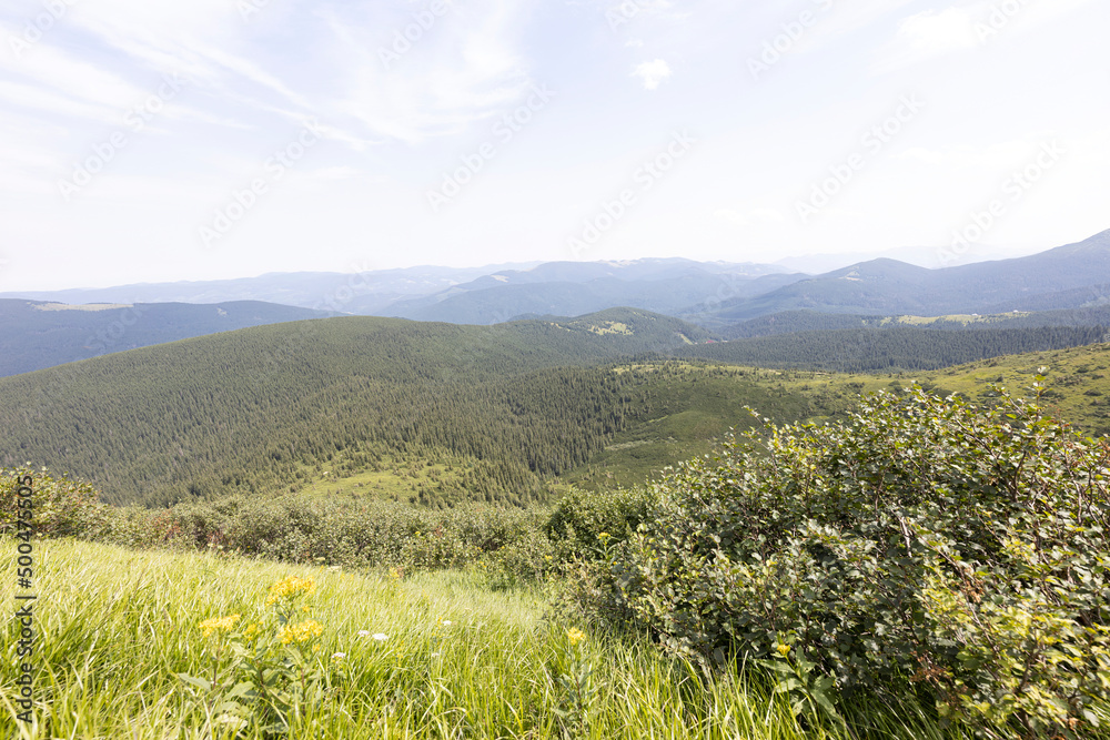 Obraz premium Mountain landscape in Ukrainian Carpathians in summer.