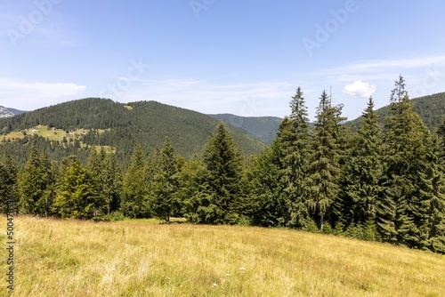 Mountain landscape in Ukrainian Carpathians in summer.