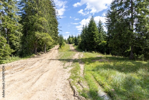 Mountain dirt road in the Ukrainian Carpathians on a summer day.