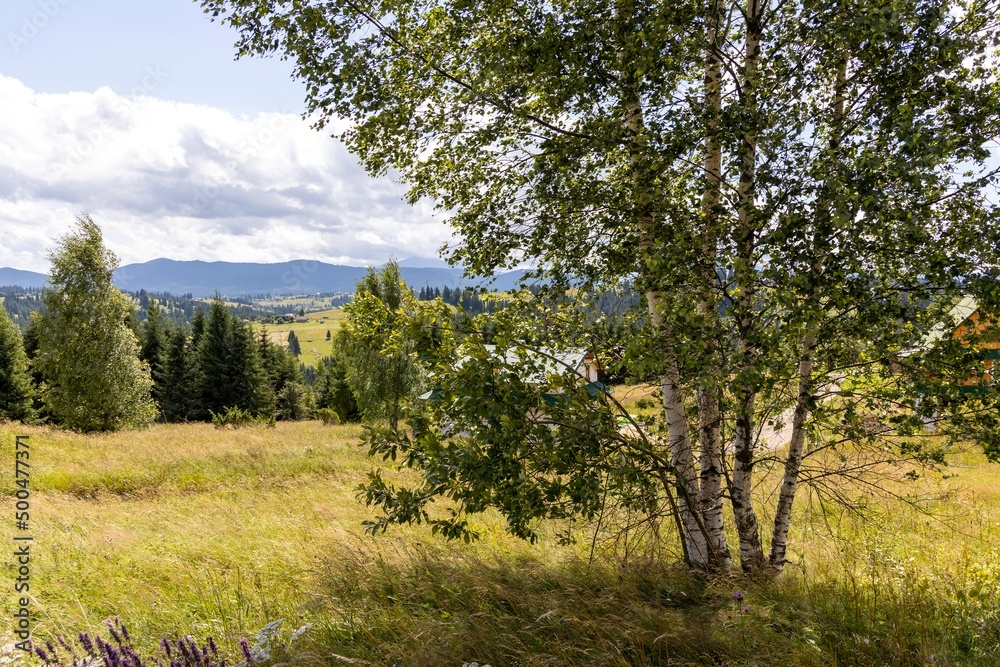 Mountain landscape in Ukrainian Carpathians in summer. Mountain landscape in Ukrainian Carpathians in summer.