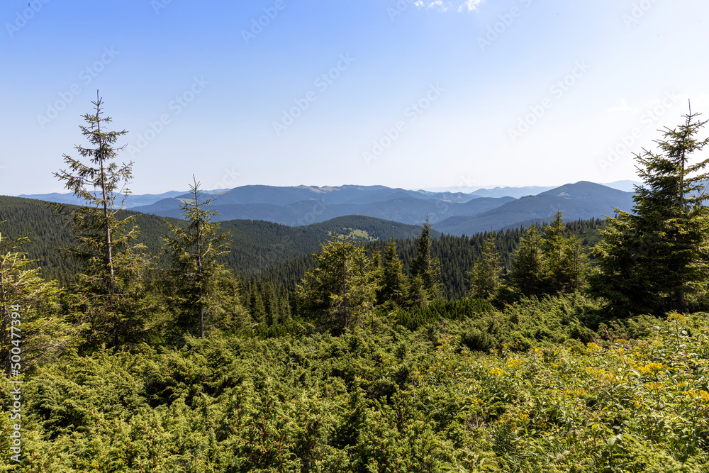 Obraz premium Mountain landscape in Ukrainian Carpathians in summer.