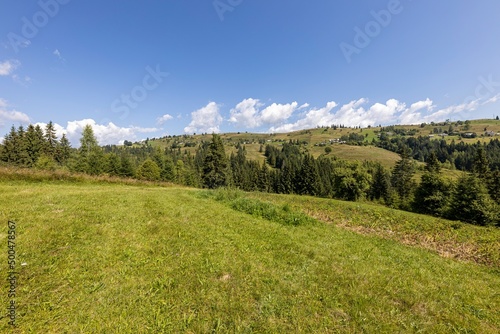 Green mountain meadows in the Ukrainian Carpathians