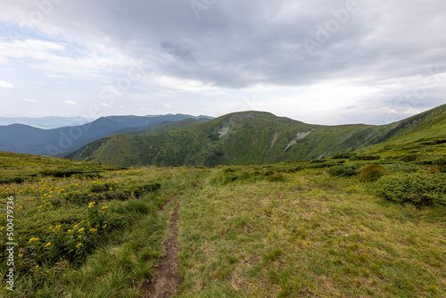 Panorama of mountains in the Ukrainian Carpathians on a summer day. © Sergey