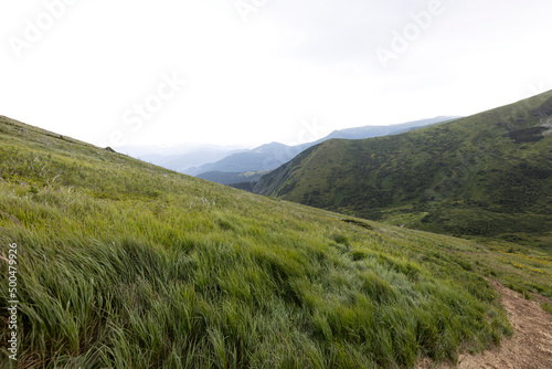 Panorama of mountains in the Ukrainian Carpathians on a summer day.