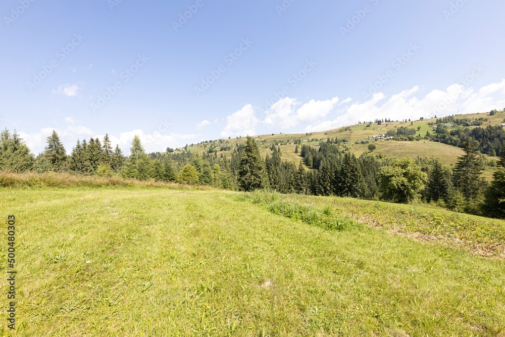 Green mountain meadows in the Ukrainian Carpathians