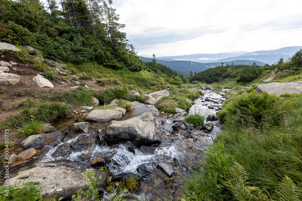 Mountain stream on a summer day in the Ukrainian Carpathians Mountain stream on a summer day in the Ukrainian Carpathians