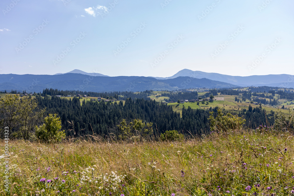 Fototapeta premium Mountain landscape in Ukrainian Carpathians in summer.
