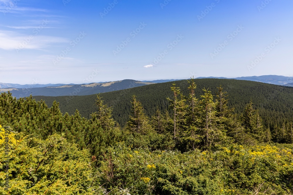 Obraz premium Mountain landscape in Ukrainian Carpathians in summer.
