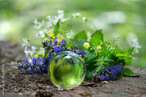 Photos magic crystal ball with wild flowers, blurred green natural background