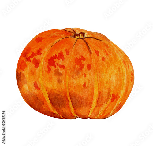 Watercolor orange pumpkin