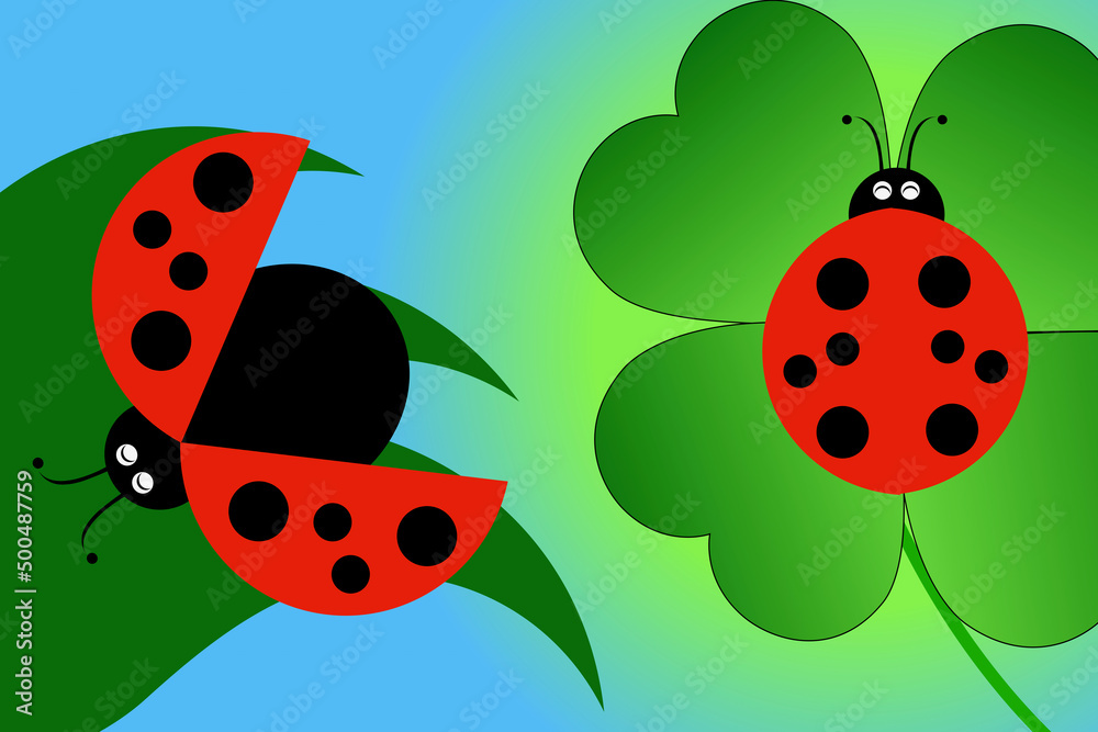 Obraz premium テントウムシ