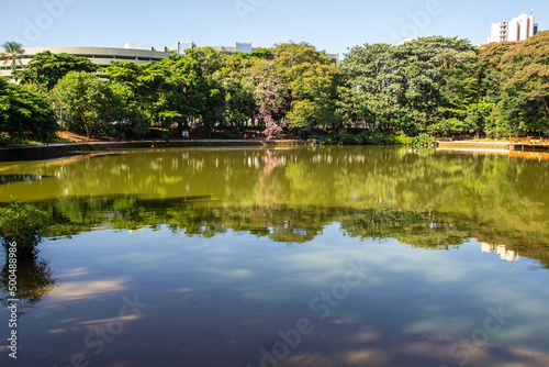 Detalhe do Bosque dos Buritis. Um parque público na cidade de Goiânia em Goiás.